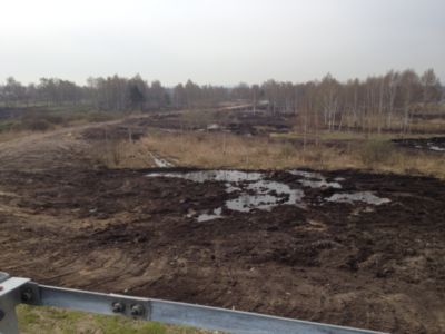 Купить торф Ильинское